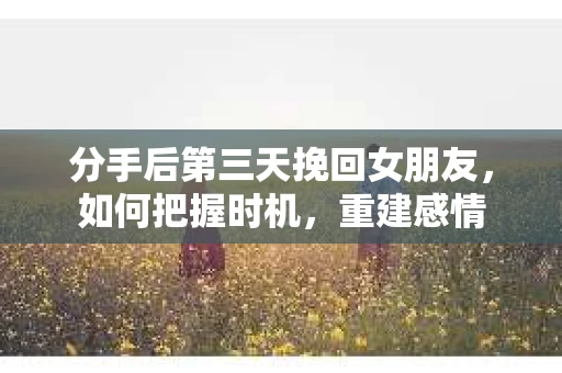 分手后第三天挽回女朋友，如何把握时机，重建感情