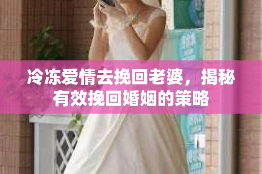 冷冻爱情去挽回老婆，揭秘有效挽回婚姻的策略