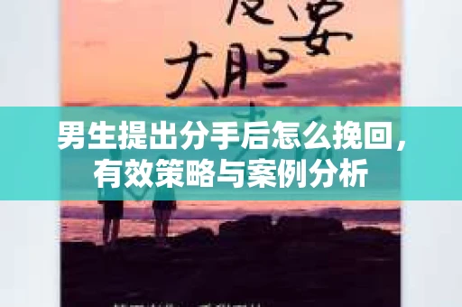 男生提出分手后怎么挽回，有效策略与案例分析