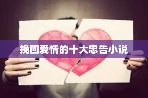 挽回爱情的十大忠告小说
