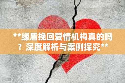 **缘盾挽回爱情机构真的吗？深度解析与案例探究**