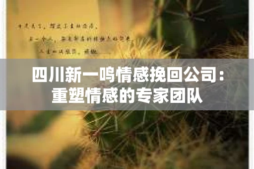四川新一鸣情感挽回公司：重塑情感的专家团队