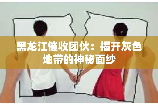 黑龙江催收团伙：揭开灰色地带的神秘面纱