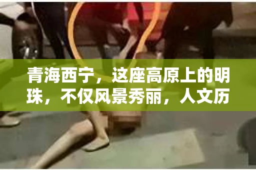 青海西宁，这座高原上的明珠，不仅风景秀丽，人文历史丰富，而且随着社会的发展，人们对于隐私保护和信息查询的需求也在日益增长。那么，问题来了——青海西宁有私家侦探吗？今天，我们就来聊聊这个话题。