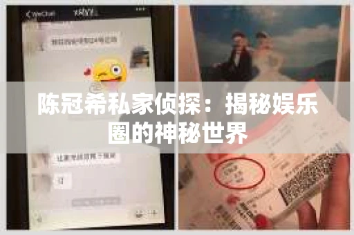 陈冠希私家侦探：揭秘娱乐圈的神秘世界