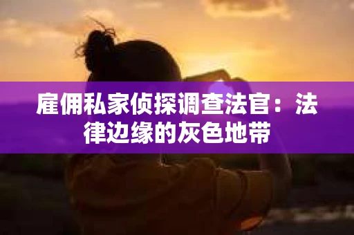 雇佣私家侦探调查法官：法律边缘的灰色地带