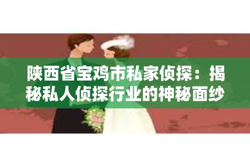 陕西省宝鸡市私家侦探：揭秘私人侦探行业的神秘面纱