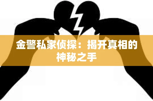 金警私家侦探：揭开真相的神秘之手