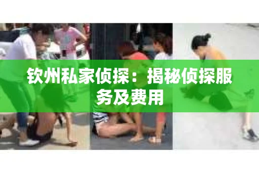 钦州私家侦探：揭秘侦探服务及费用