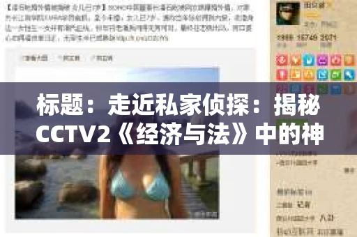 标题：走近私家侦探：揭秘CCTV2《经济与法》中的神秘世界