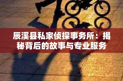 辰溪县私家侦探事务所：揭秘背后的故事与专业服务