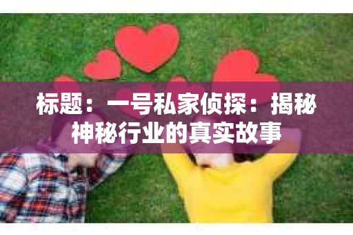 标题：一号私家侦探：揭秘神秘行业的真实故事