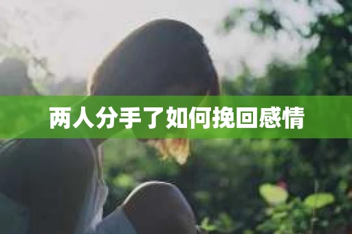 两人分手了如何挽回感情