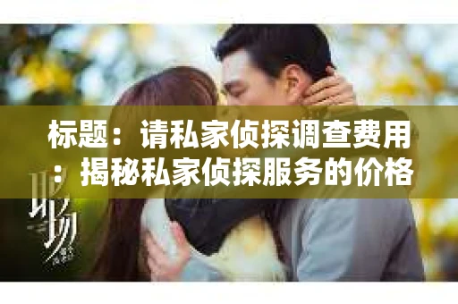 标题：请私家侦探调查费用：揭秘私家侦探服务的价格之谜