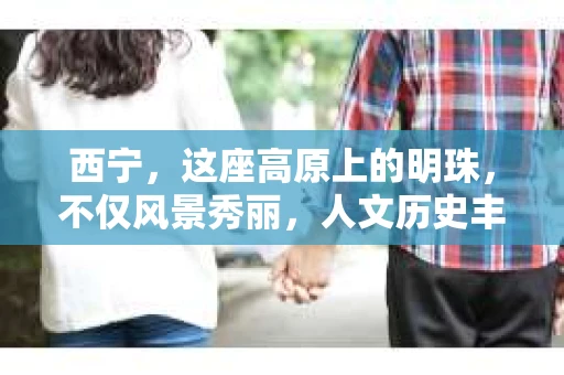 西宁，这座高原上的明珠，不仅风景秀丽，人文历史丰富，更是藏民文化的发源地。在这个充满故事的城市里，私家侦探公司也成为了许多人寻求帮助的途径。今天，我们就来聊聊西宁的私家侦探公司，看看他们是如何在法律允许的范围内，为人们解决各种棘手问题的。
