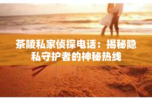 茶陵私家侦探电话：揭秘隐私守护者的神秘热线