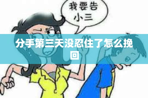 分手第三天没忍住了怎么挽回 分手第三天没忍住了怎么挽回